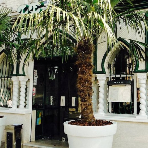 Le restaurant - Le Palmier - restaurant LE PERREUX-SUR-MARNE - Restaurant Nogent sur Marne - restaurant a faire LE PERREUX-SUR-MARNE